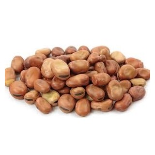 فول مصري 1 كيلو